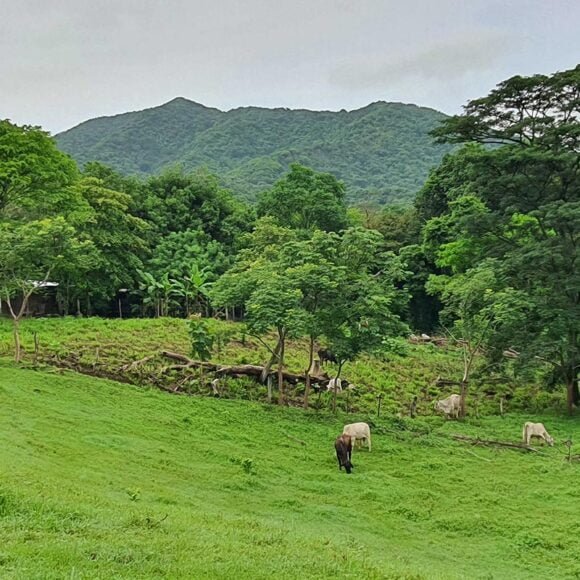 Turismo Rural