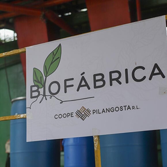 Coopepilangosta